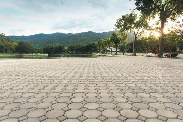 Professional Driveway Pavers in Los Ranchos, CA